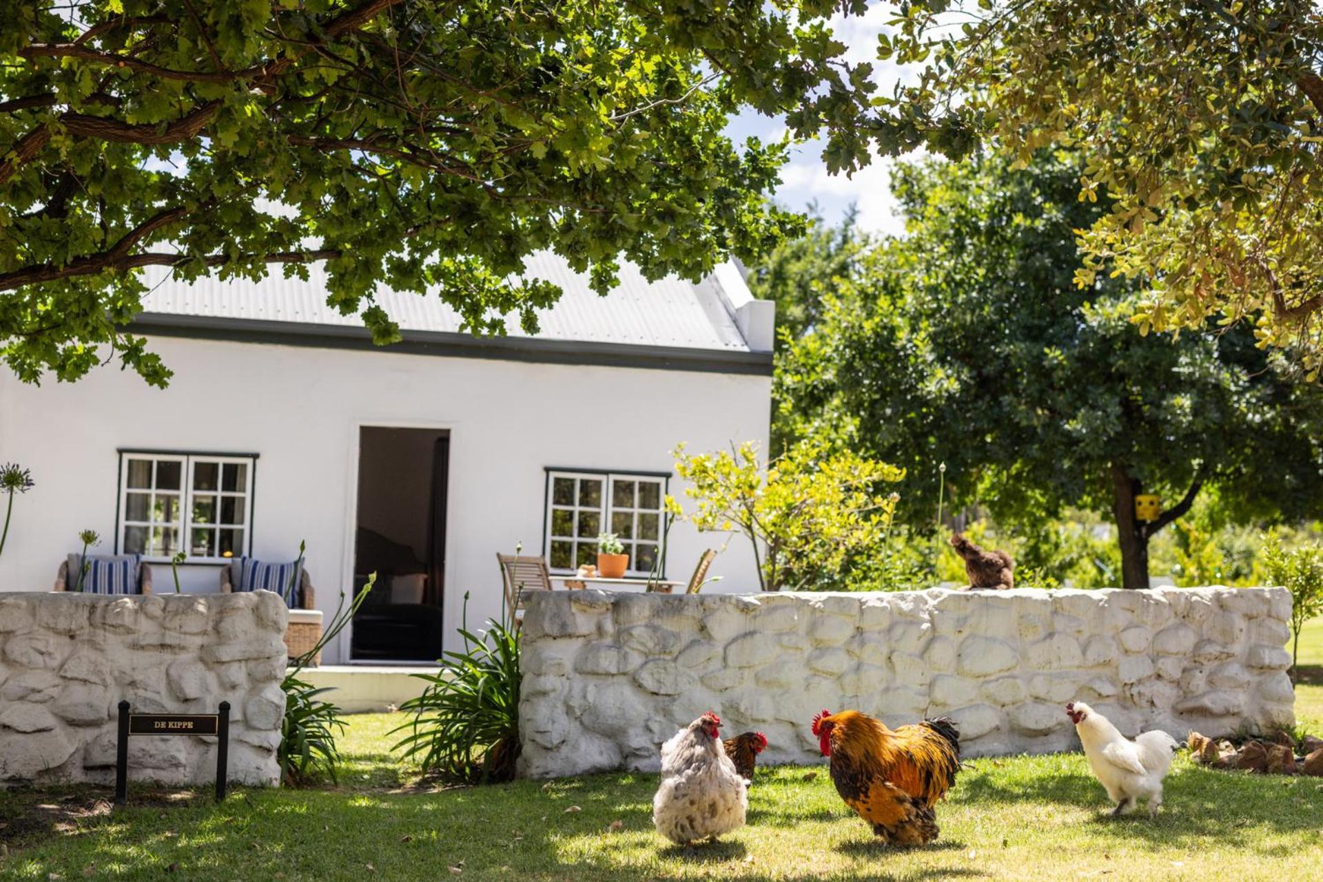 Eikehof Farm Apartamento Worcester Exterior foto